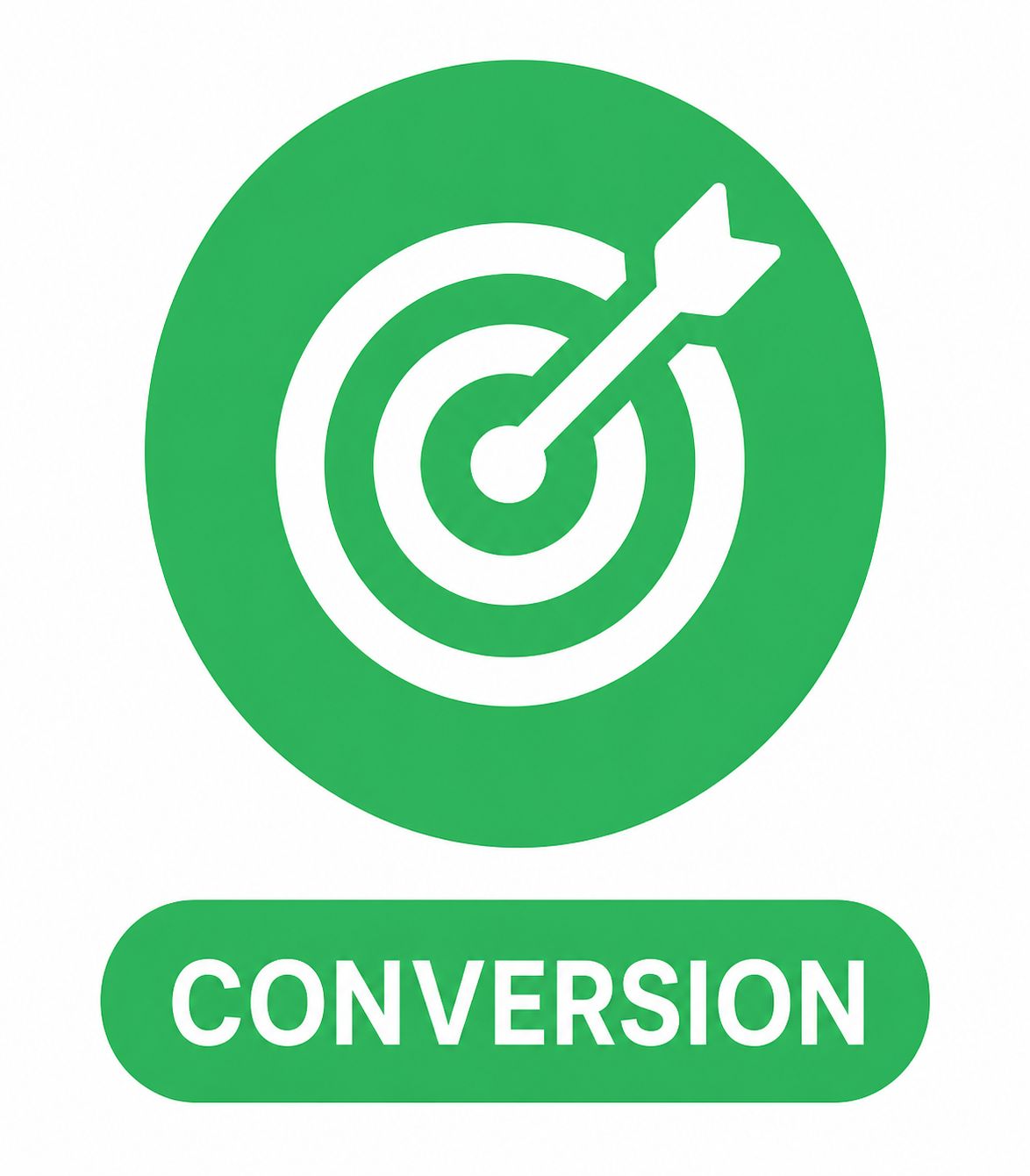 Conversion Website Audit