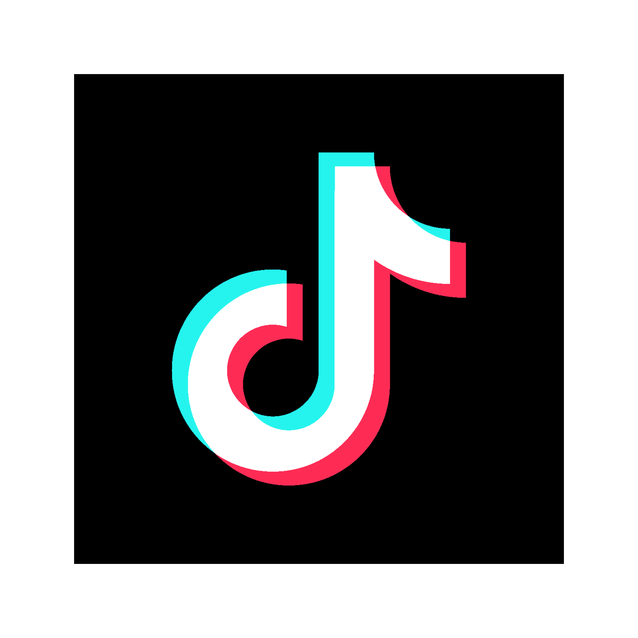 TikTok Advertising